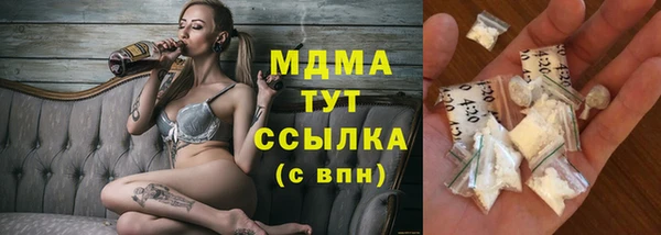 крисы Бородино