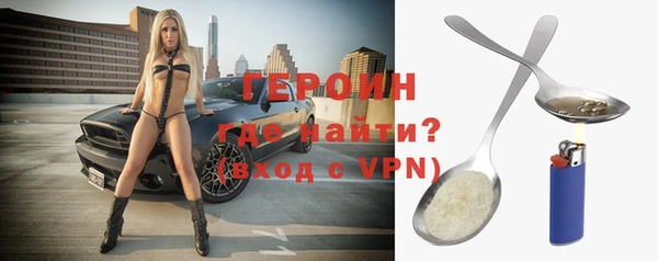крисы Бородино