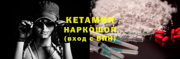 крисы Бородино