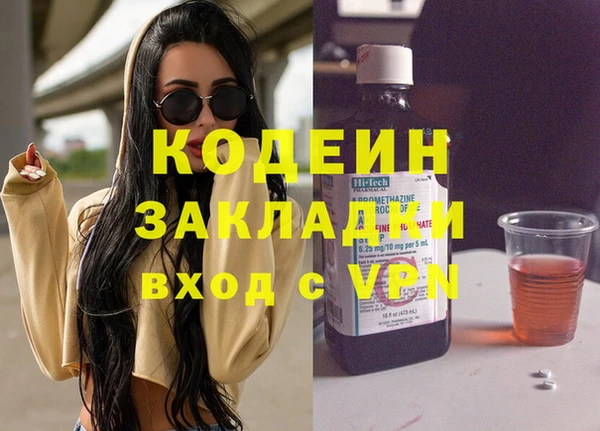 крисы Бородино