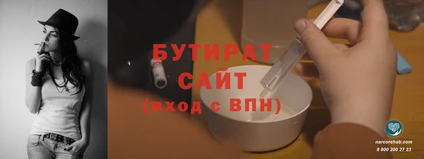 крисы Бородино