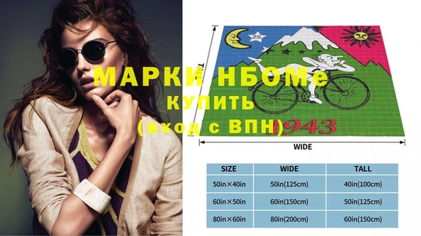 СК Бронницы