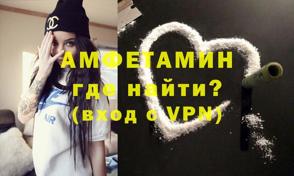 крисы Бородино