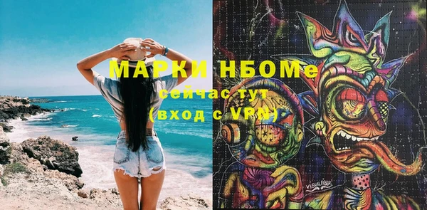 крисы Бородино
