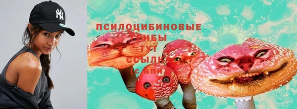 СК Бронницы