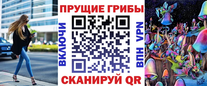 MEGA вход  Заринск  Галлюциногенные грибы мицелий 
