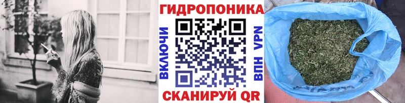 где купить наркоту  Заринск  Марихуана MAZAR 